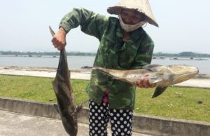 Рыба во Вьетнаме