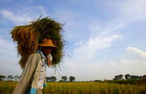 Более 1 миллиона вьетнамцев живут в голоде