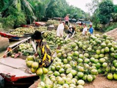 Производство кокосовых конфет во Вьетнаме