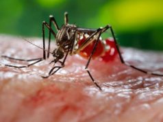 От лихорадки денге во Вьетнаме погибли три человека