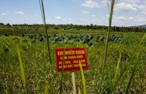 Во Вьетнаме очистят почву от диоксина с помощью японских технологий